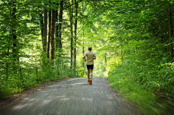 Jogging forest